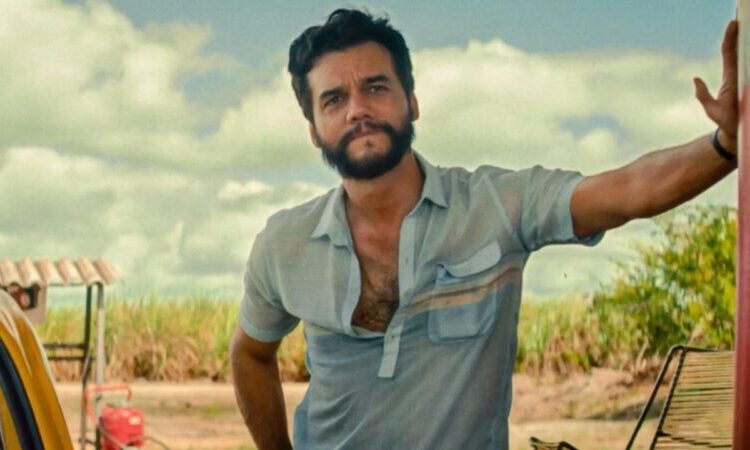 Reconhecimento: Visibilidade com o Oscar se conecta a investimentos recordes no audiovisual brasileiro