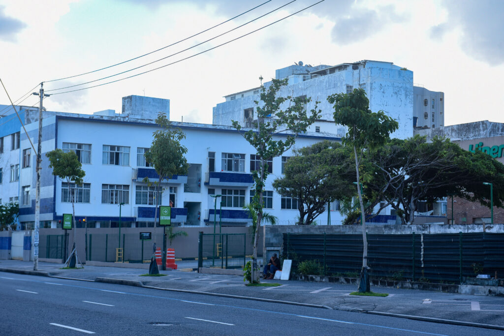 Corredor Verde na Avenida Manoel Dias da Silva: Prefeitura realizará plantio de mais de 100 árvores adultas ao longo da via