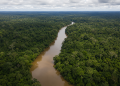 Pela primeira vez em sete anos, desmatamento fica abaixo de 1 milhão de hectares