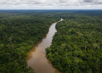 Pela primeira vez em sete anos, desmatamento fica abaixo de 1 milhão de hectares