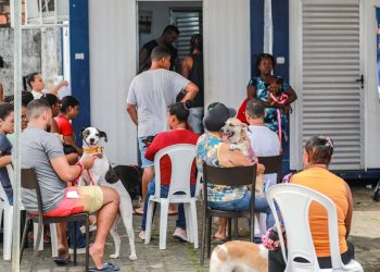 Programa de castração gratuita ajuda a prevenir doenças e combater o abandono de animais