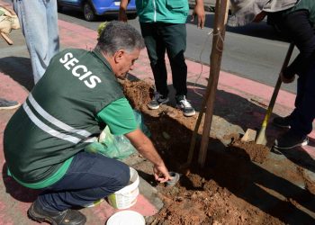 Programa Plante no Passeio fortalece a arborização urbana de Salvador