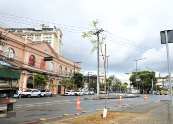 Meio Ambiente: Prefeitura promove plantio na Avenida Jequitaia em combate ao vandalismo contra mudas