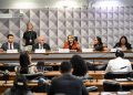 Desafios: Subcomissão Ianomâmi avalia saúde indígena e combate ao garimpo ilegal