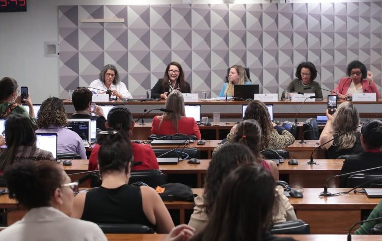 Segurança pública: Mulheres pedem aprovação imediata do projeto que torna a misoginia crime