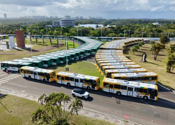 Capital Baiana: Prefeitura de Salvador inicia entrega de 700 novos ônibus com ar-condicionado na maior renovação de frota da história