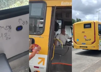 Ônibus novos da frota de Salvador sofrem vandalismo menos de uma semana após a entrega