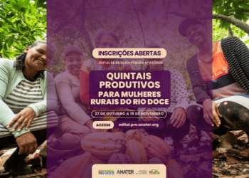 Bacia do Rio Doce: Governo do Brasil abre inscrições para edital de Quintais Produtivos para mulheres rurais